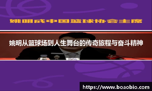 中欧体育网址