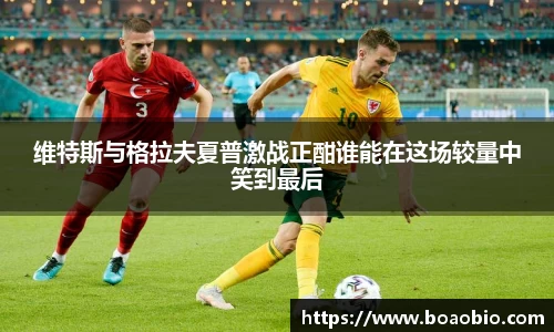 中欧体育官网