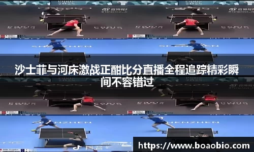 中欧体育